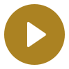 video-icon